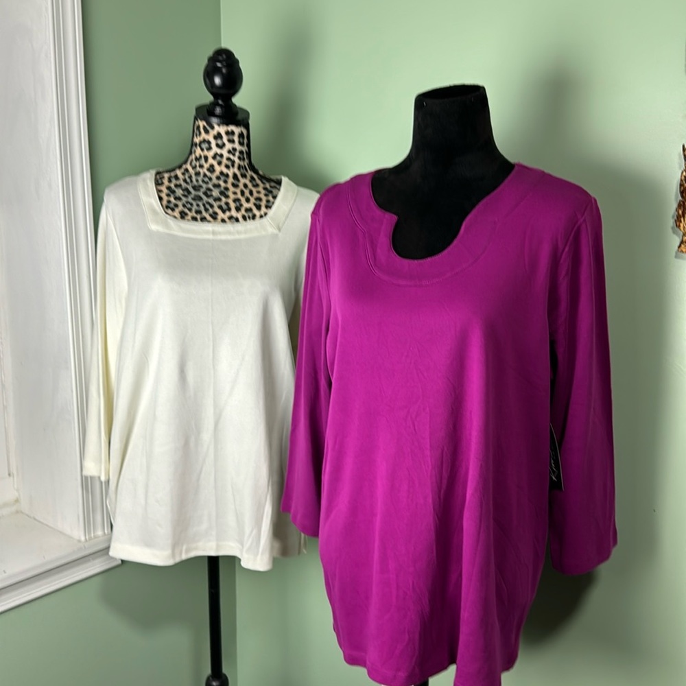NWT, Kim Rogers, two shirts lot 1X